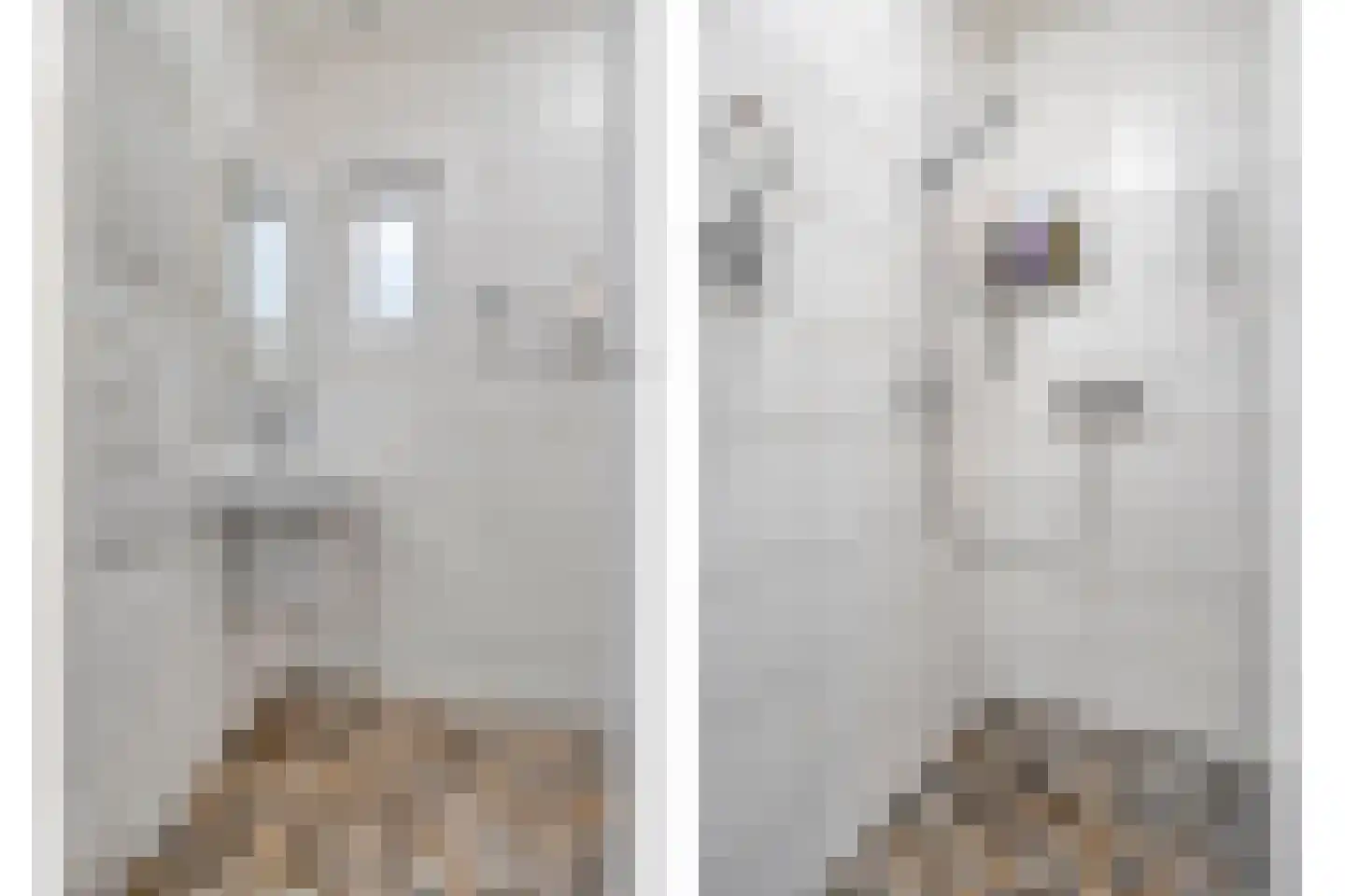 Kanaalzicht 38 Sluiskil thumbnail 15
