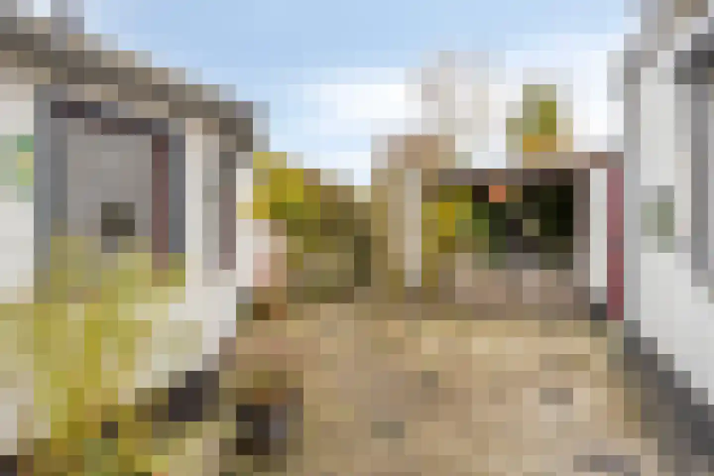 Kanaalzicht 38 Sluiskil thumbnail 21