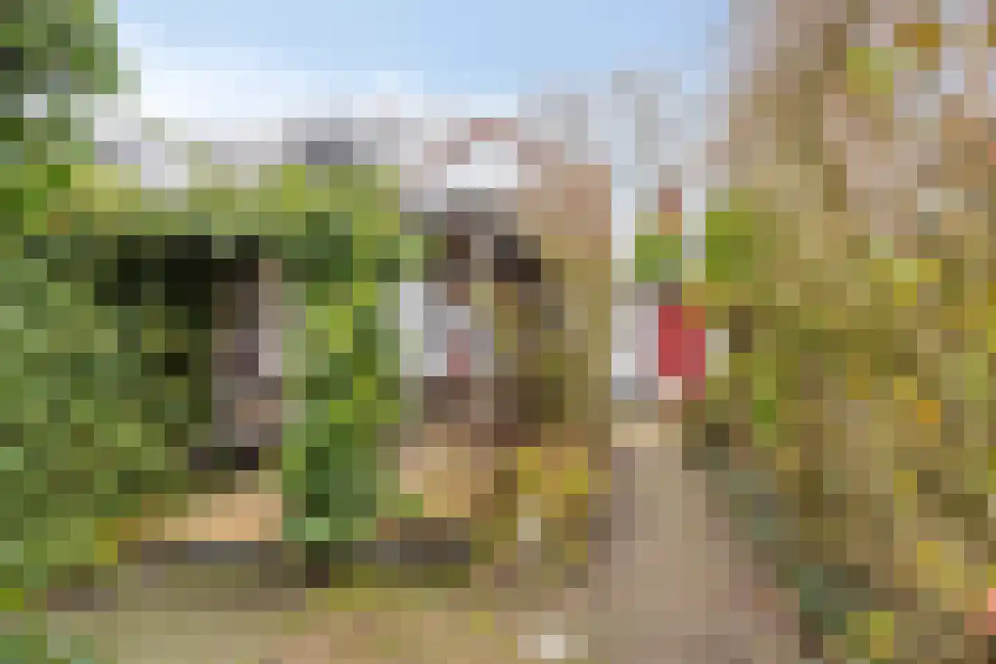 Kanaalzicht 38 Sluiskil thumbnail 23