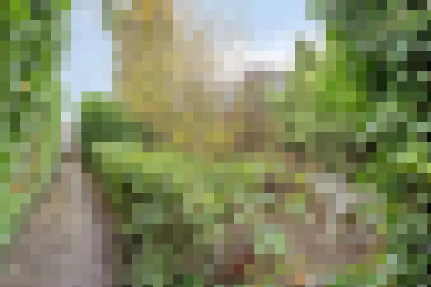 Kanaalzicht 38 Sluiskil thumbnail 24