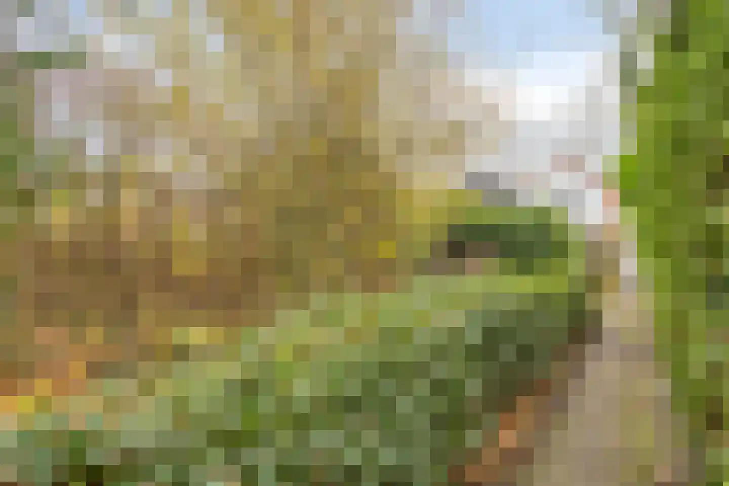 Kanaalzicht 38 Sluiskil thumbnail 25