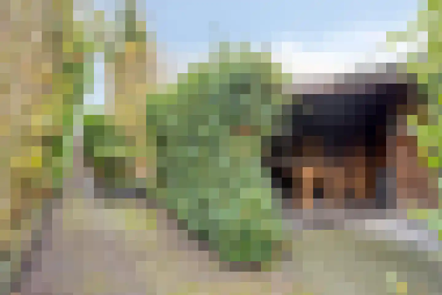 Kanaalzicht 38 Sluiskil thumbnail 26