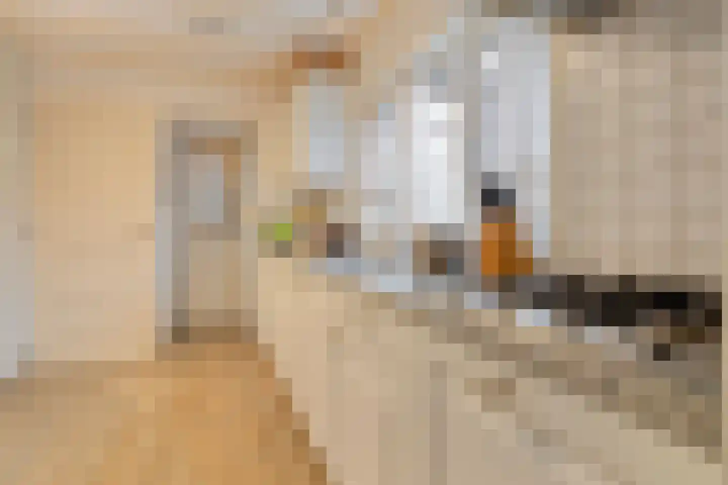 Kanaalzicht 38 Sluiskil foto 3