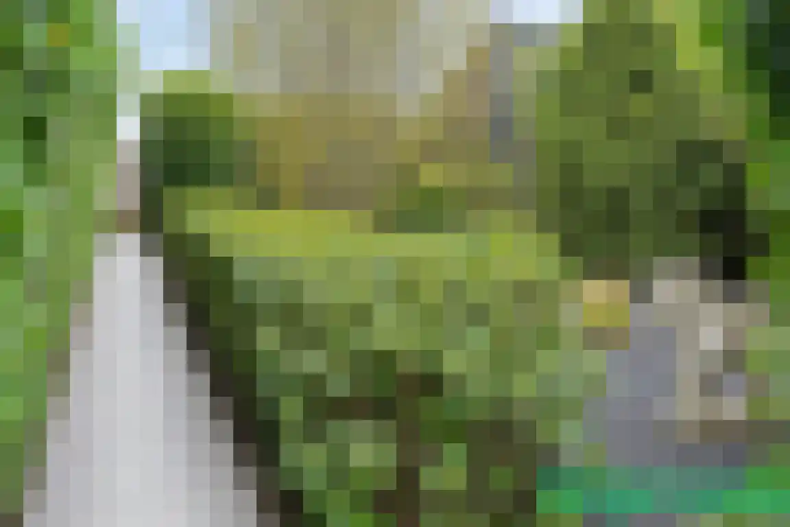 Kanaalzicht 38 Sluiskil thumbnail 35