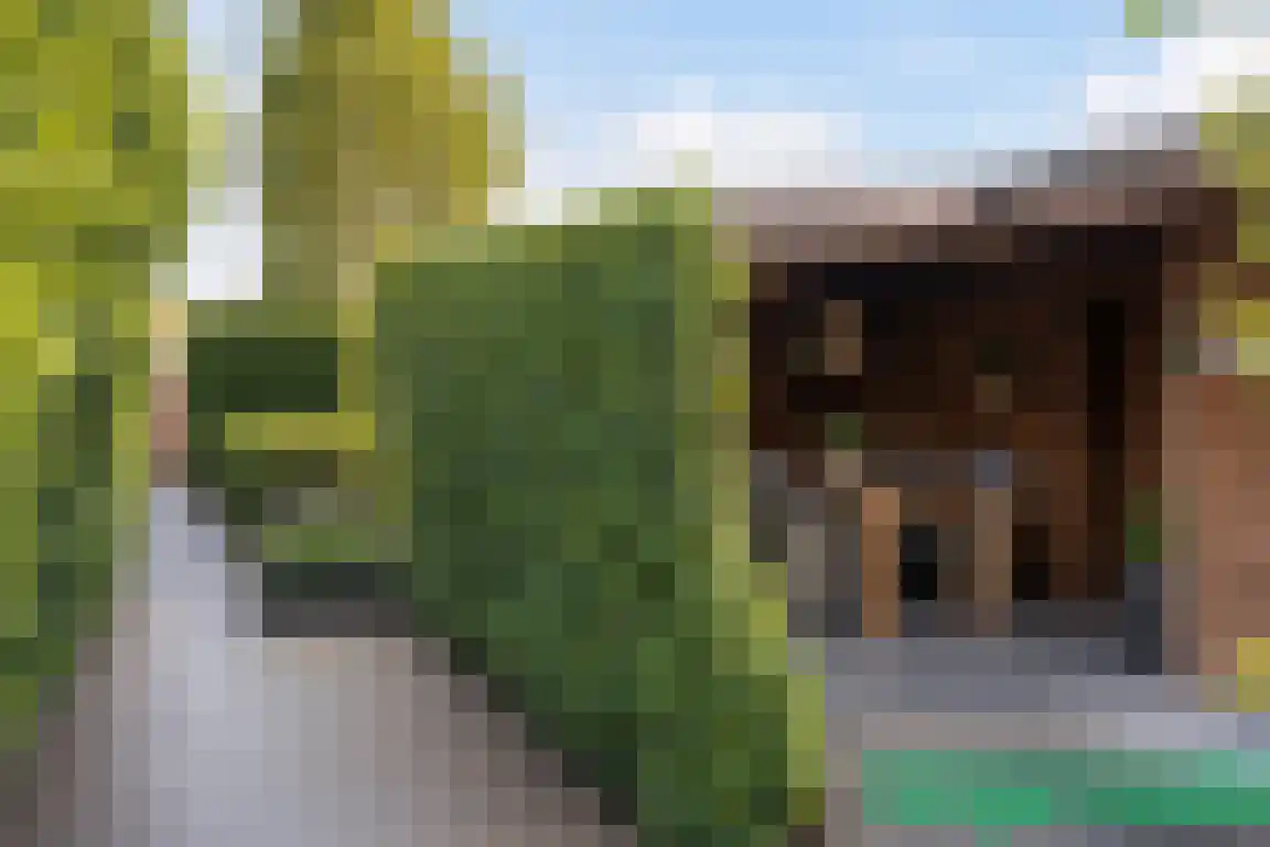 Kanaalzicht 38 Sluiskil thumbnail 37