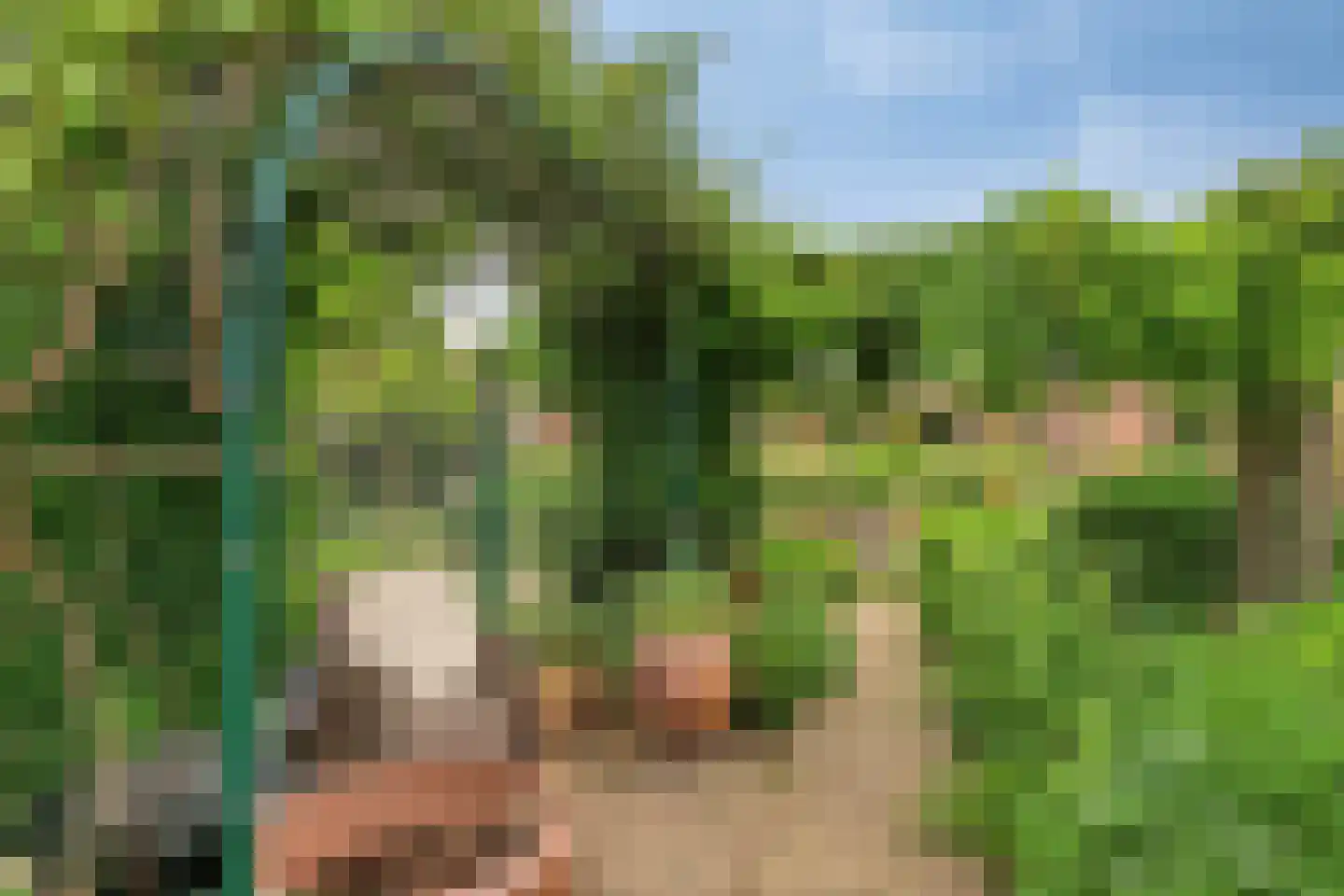 Kanaalzicht 45 Sluiskil thumbnail 17