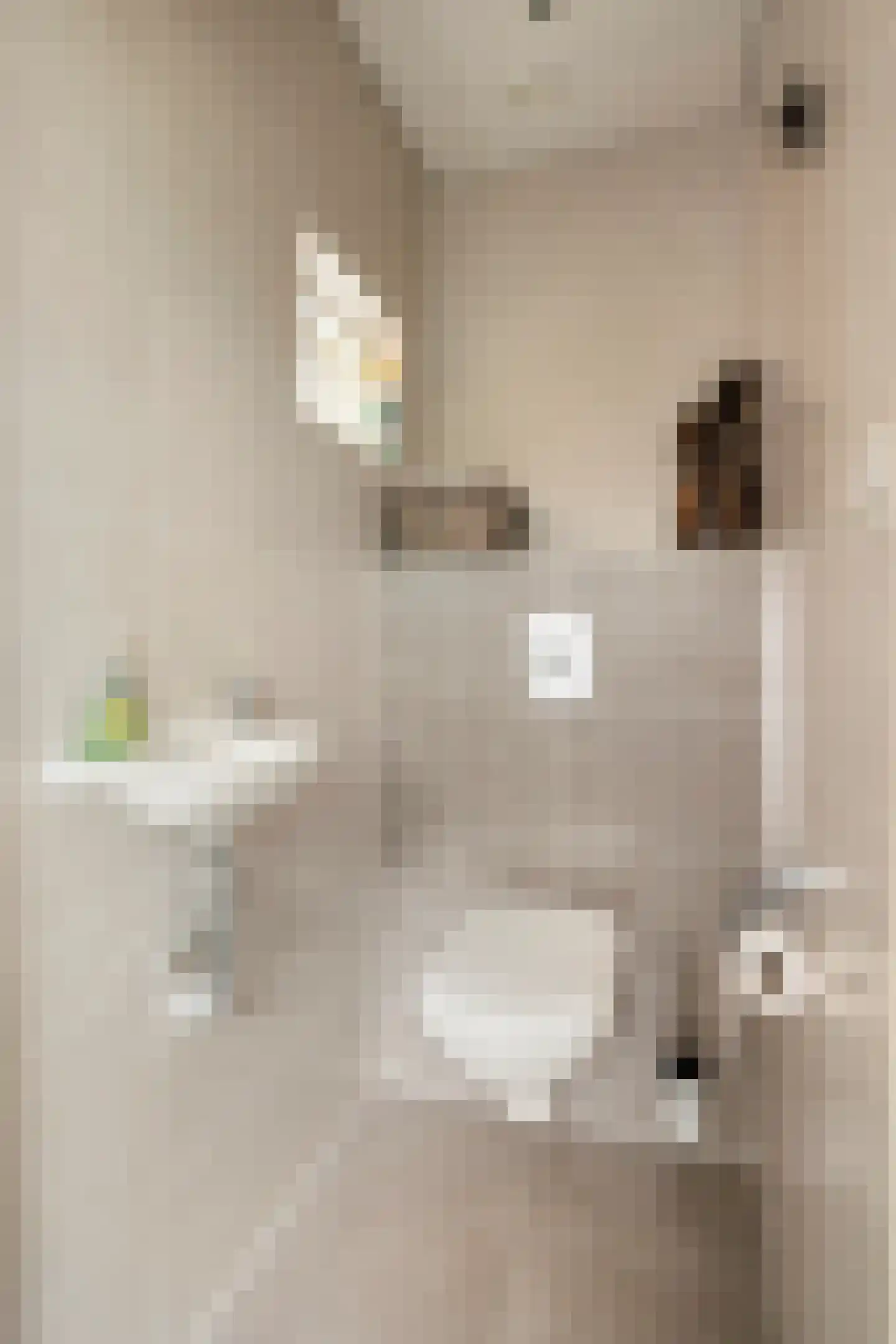 Kanaalzicht 45 Sluiskil foto 3