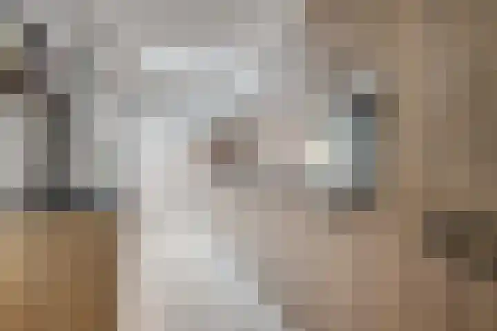 Kanaalzicht 49 Sluiskil thumbnail 14