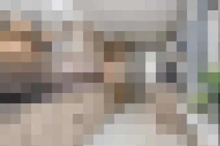 Kanaalzicht 49 Sluiskil thumbnail 16