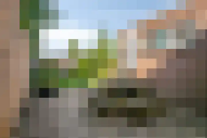 Kanaalzicht 49 Sluiskil thumbnail 31