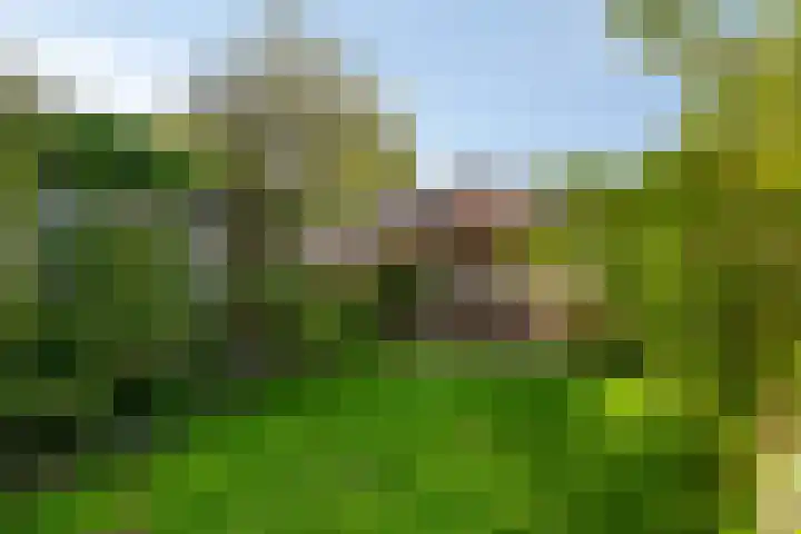 Kanaalzicht 49 Sluiskil thumbnail 33