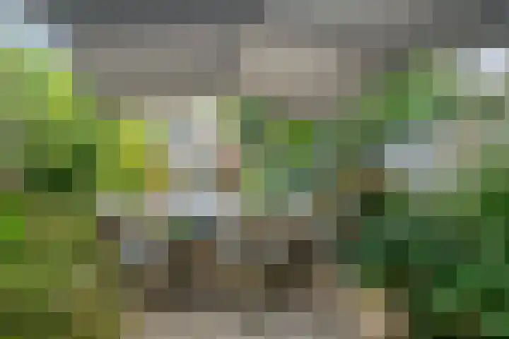 Kanaalzicht 49 Sluiskil thumbnail 35