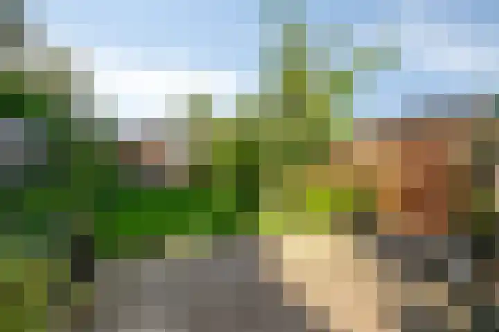 Kanaalzicht 49 Sluiskil thumbnail 4
