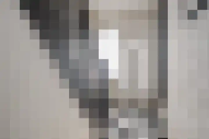 Kanaalzicht 49 Sluiskil thumbnail 7