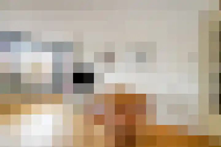 Kanaalzicht 6 Purmerend thumbnail 10