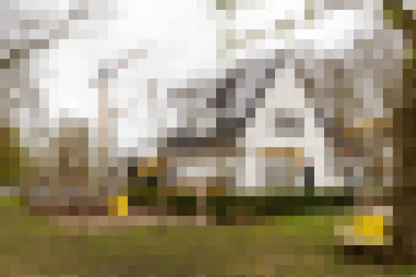 Kanaalzichtlaan 108 Utrecht thumbnail 31