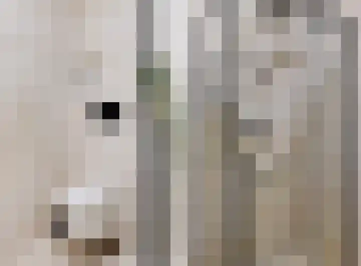 Kanaalzichtlaan 110 Utrecht thumbnail 20