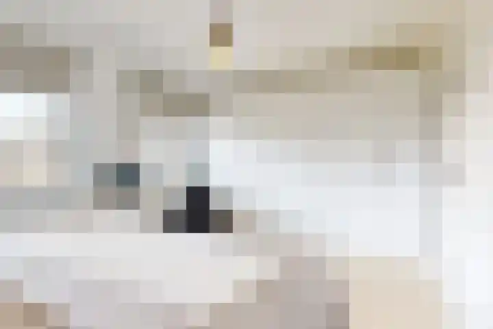 Kanaalzichtlaan 110 Utrecht thumbnail 23