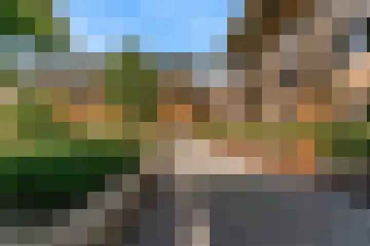 Kanaalzichtlaan 110 Utrecht thumbnail 32