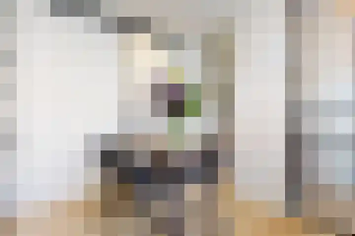 Kanaalzichtlaan 110 Utrecht thumbnail 7