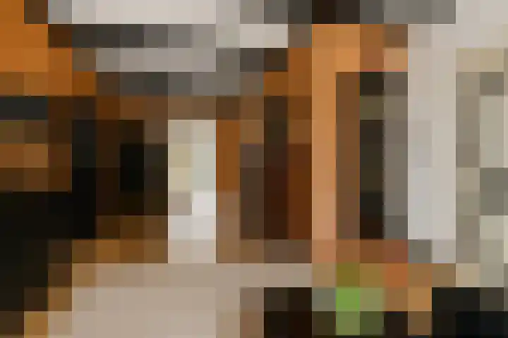 Kanadeeskestrjitte 18 Akkrum thumbnail 11