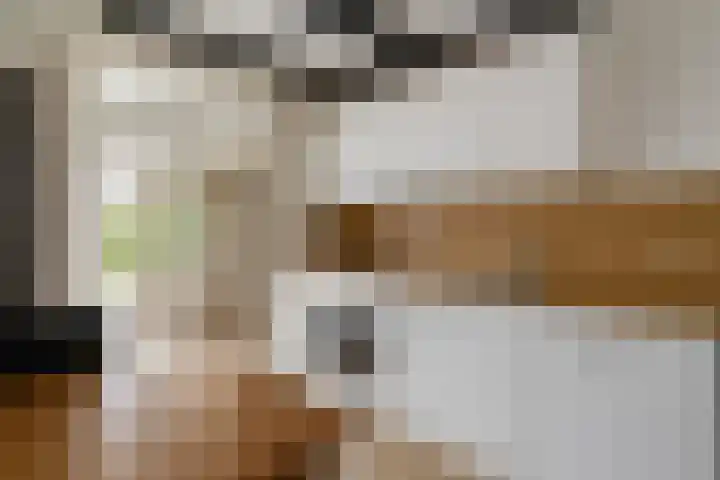 Kanadeeskestrjitte 18 Akkrum thumbnail 13