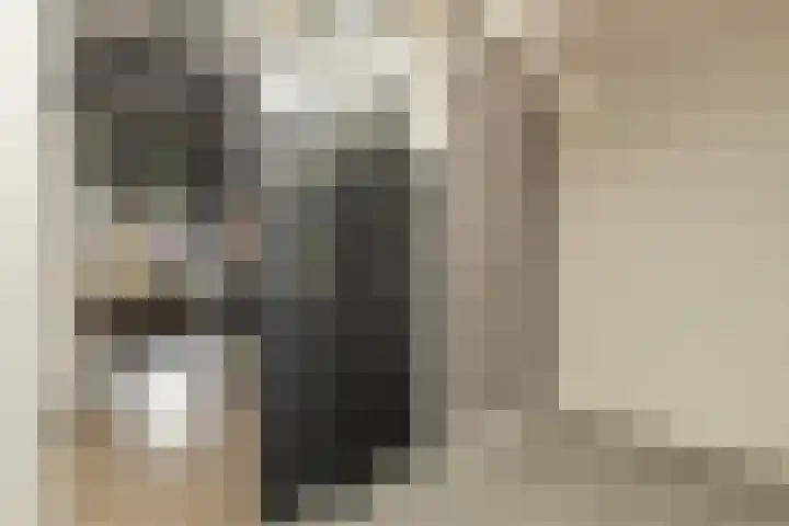 Kanadeeskestrjitte 18 Akkrum thumbnail 14