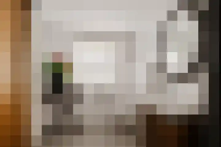 Kanadeeskestrjitte 18 Akkrum thumbnail 16