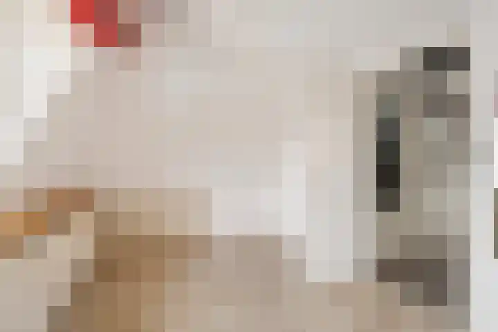Kanadeeskestrjitte 18 Akkrum thumbnail 20