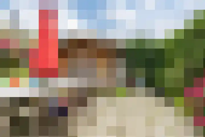 Kanadeeskestrjitte 18 Akkrum thumbnail 24