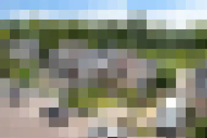 Kanadeeskestrjitte 18 Akkrum thumbnail 28