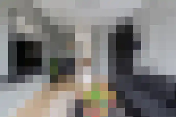 Kanadeeskestrjitte 18 Akkrum foto 3
