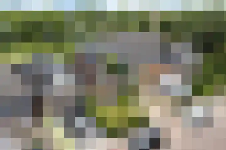 Kanadeeskestrjitte 18 Akkrum thumbnail 30