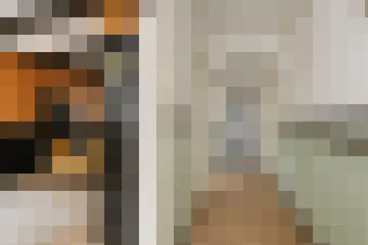 Kanadeeskestrjitte 18 Akkrum thumbnail 8