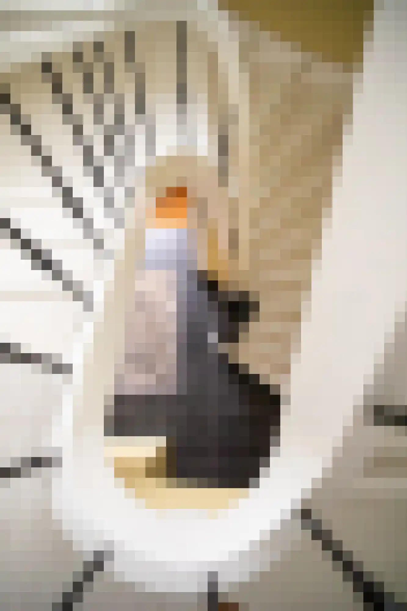 Kanadeeskestrjitte 8 Akkrum thumbnail 11