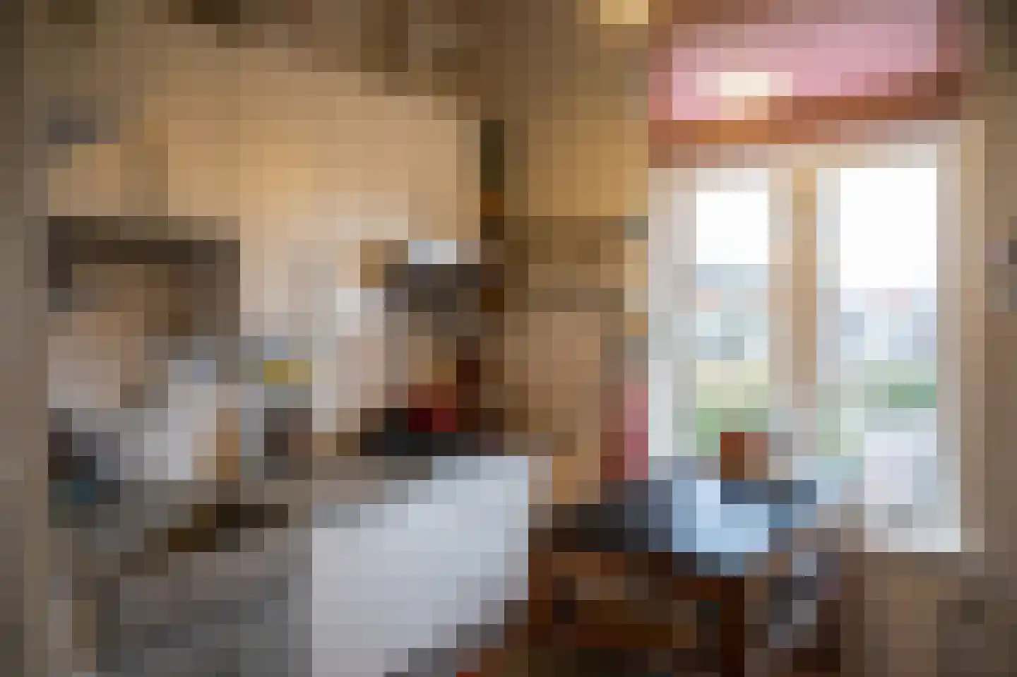 Kanadeeskestrjitte 8 Akkrum thumbnail 27