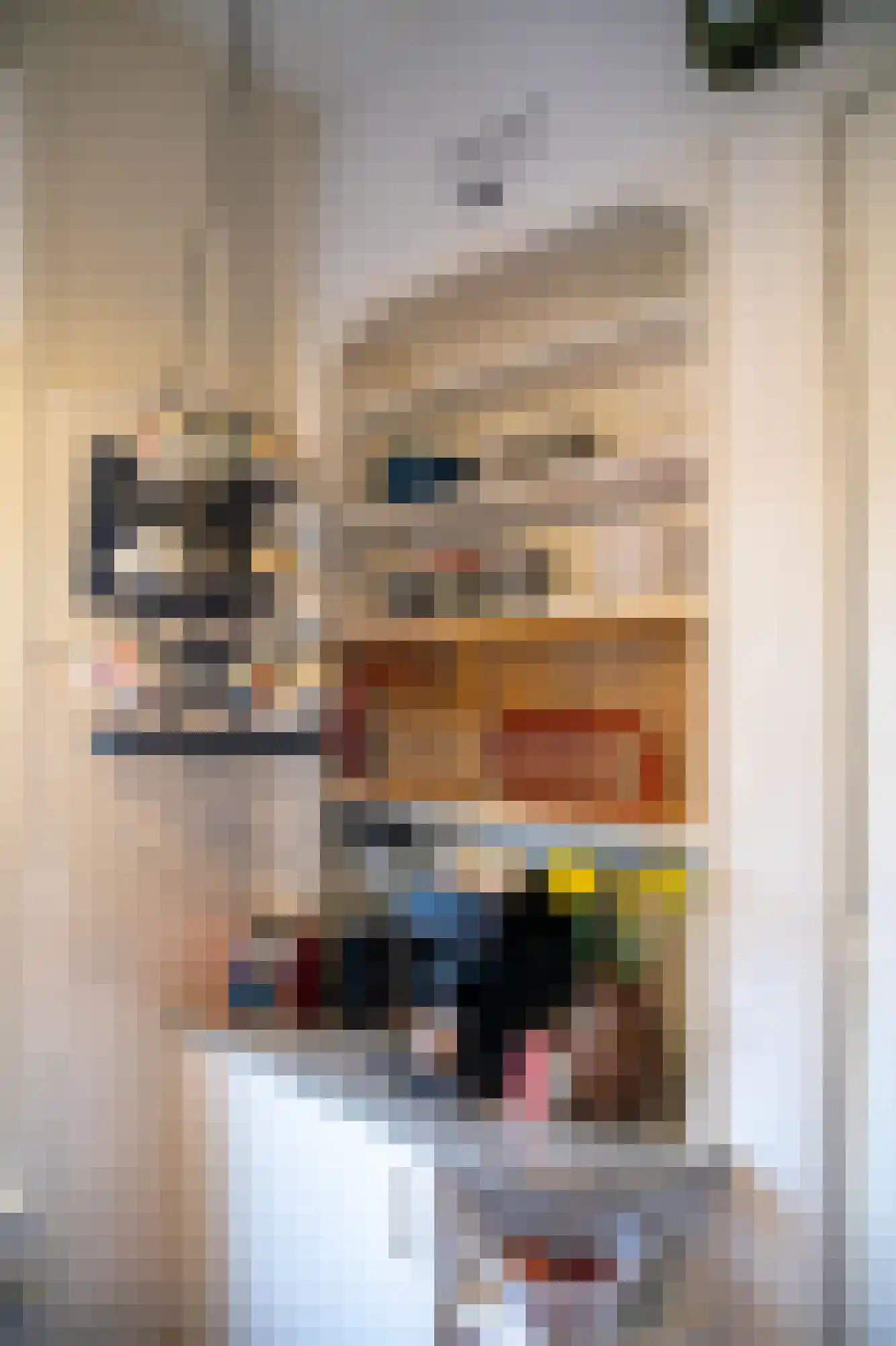 Kanadeeskestrjitte 8 Akkrum thumbnail 28
