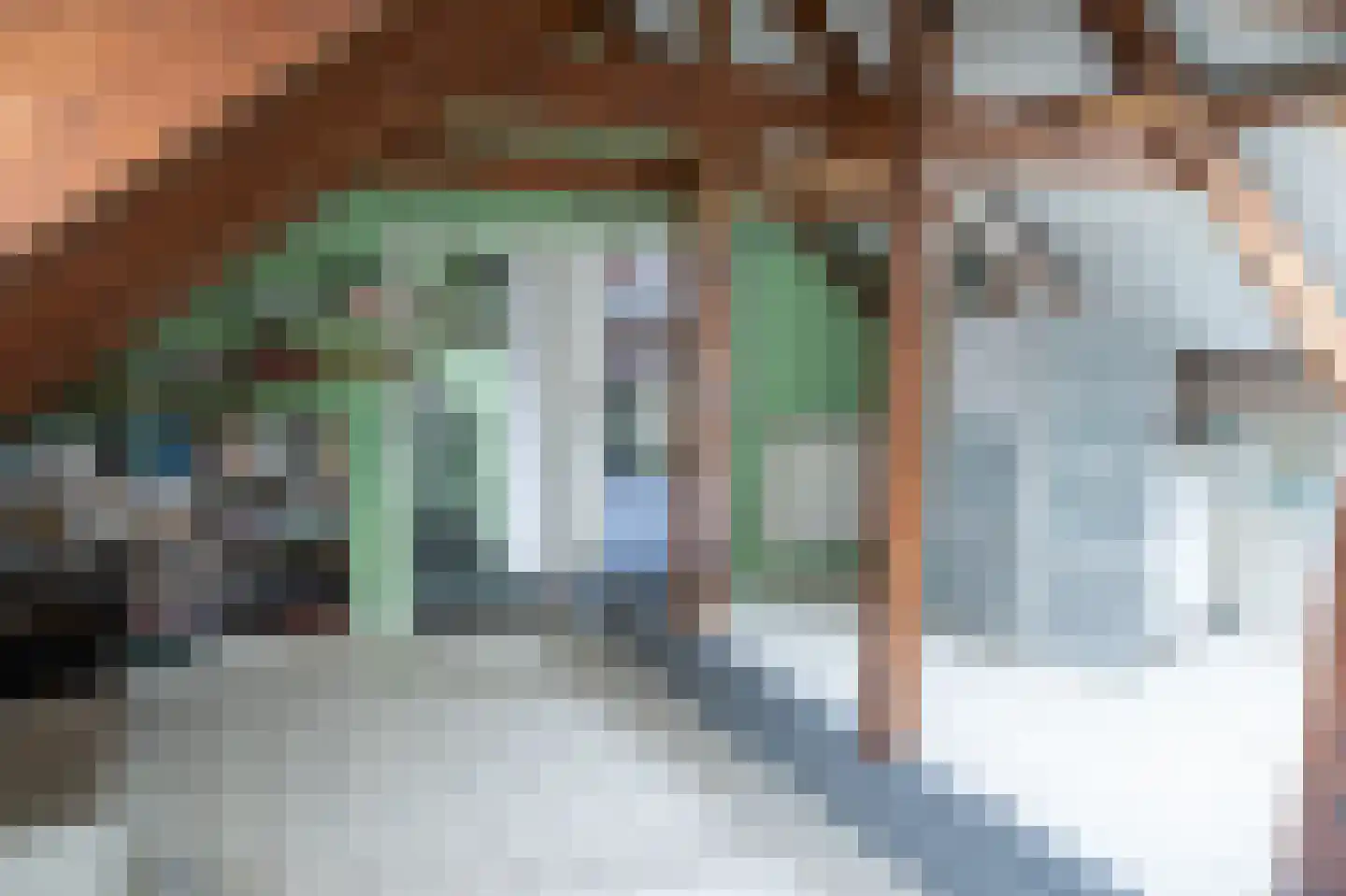 Kanadeeskestrjitte 8 Akkrum thumbnail 39