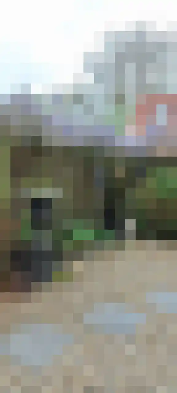 Kanadeeskestrjitte 8 Akkrum thumbnail 46