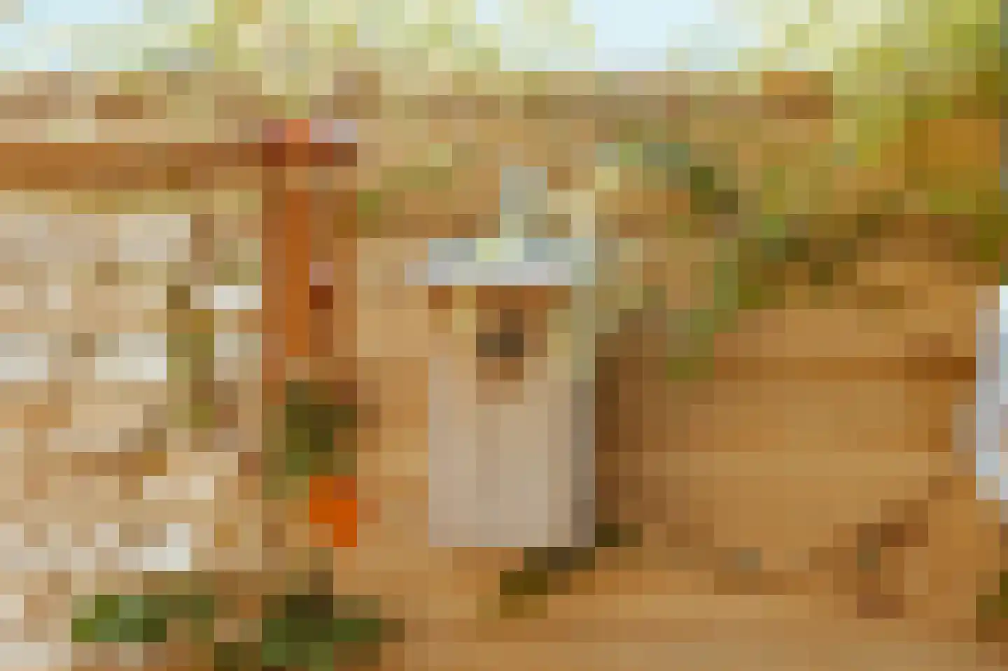 Kanadeeskestrjitte 8 Akkrum thumbnail 47