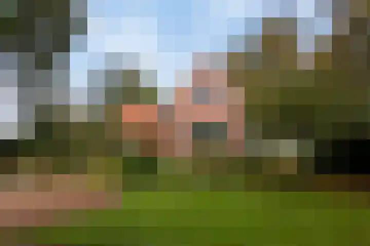 Kanaeldyk 25 De Veenhoop thumbnail 10
