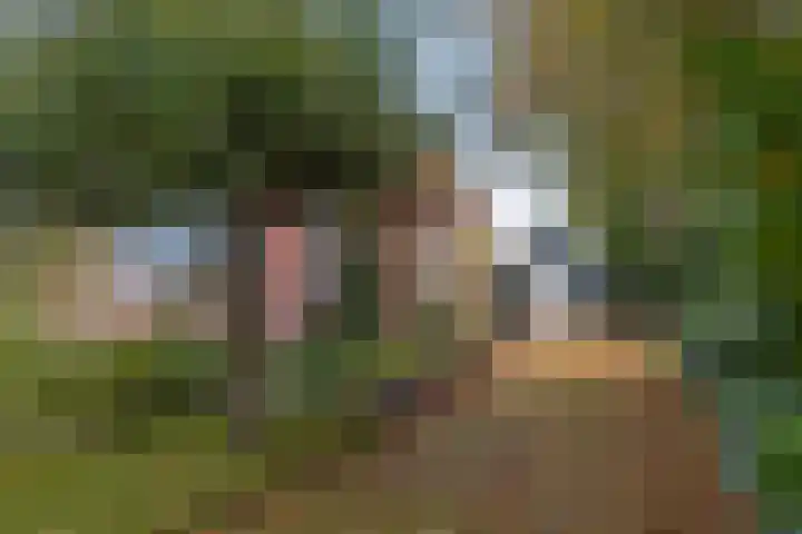 Kanaeldyk 25 De Veenhoop thumbnail 11