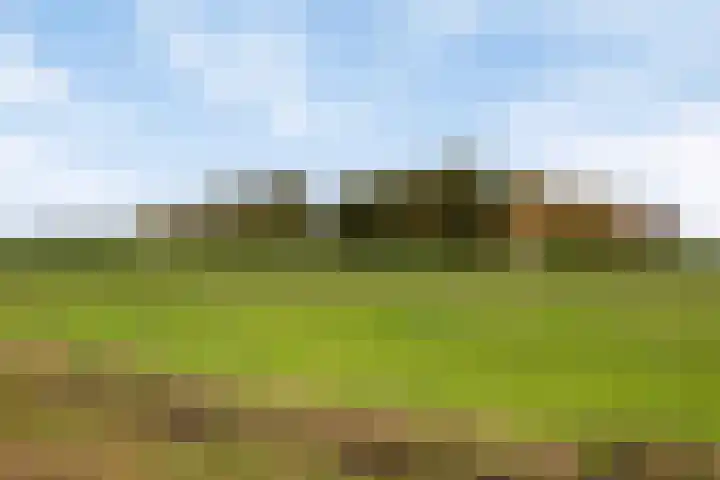 Kanaeldyk 25 De Veenhoop thumbnail 12