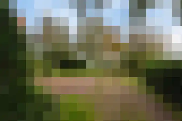Kanaeldyk 25 De Veenhoop thumbnail 13