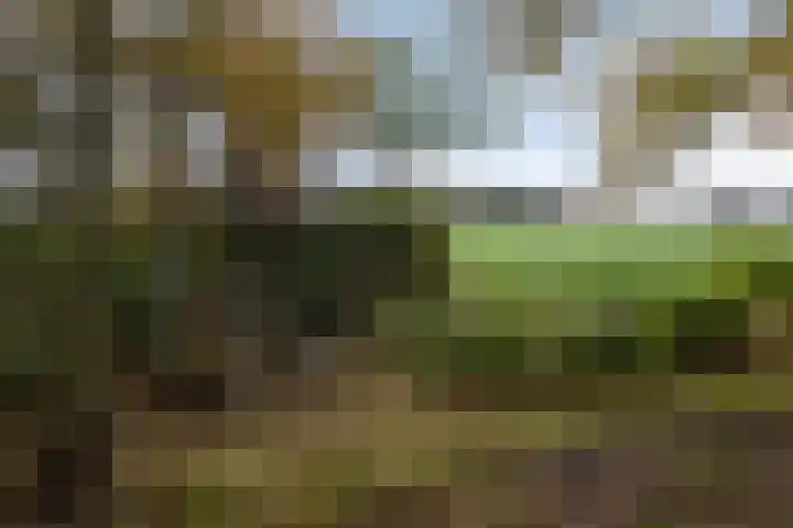 Kanaeldyk 25 De Veenhoop thumbnail 14