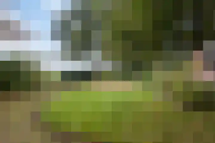 Kanaeldyk 25 De Veenhoop thumbnail 15