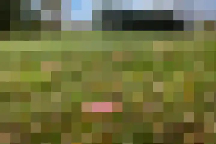Kanaeldyk 25 De Veenhoop thumbnail 16