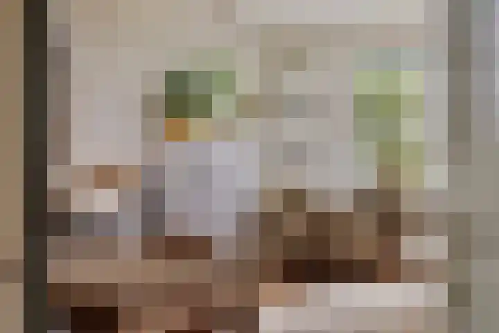 Kanaeldyk 25 De Veenhoop thumbnail 21