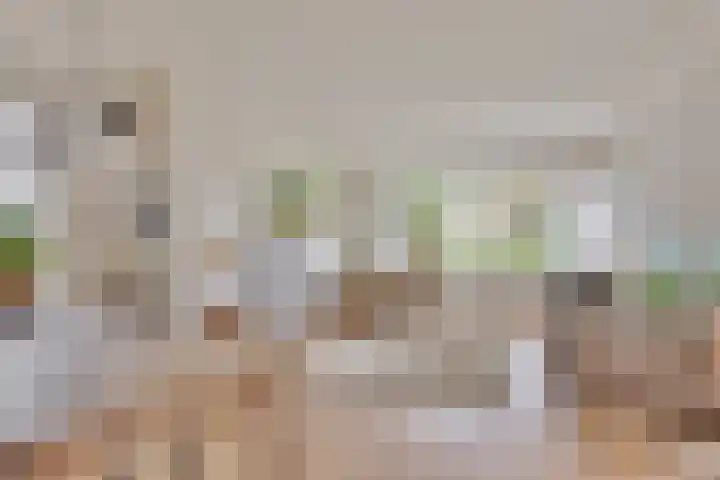 Kanaeldyk 25 De Veenhoop thumbnail 22