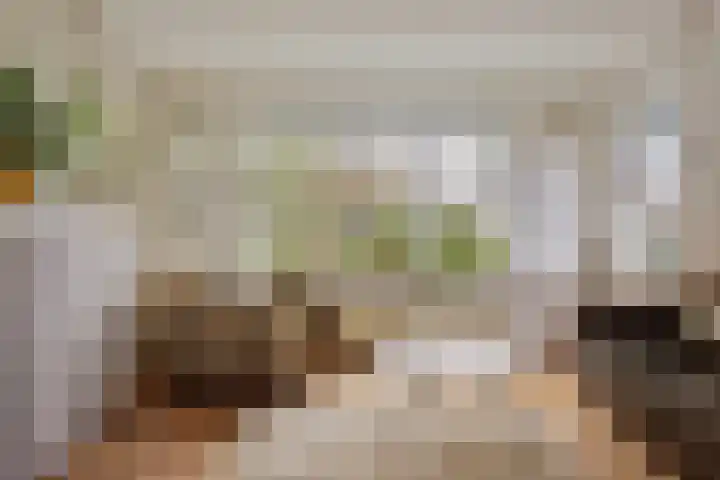 Kanaeldyk 25 De Veenhoop thumbnail 23